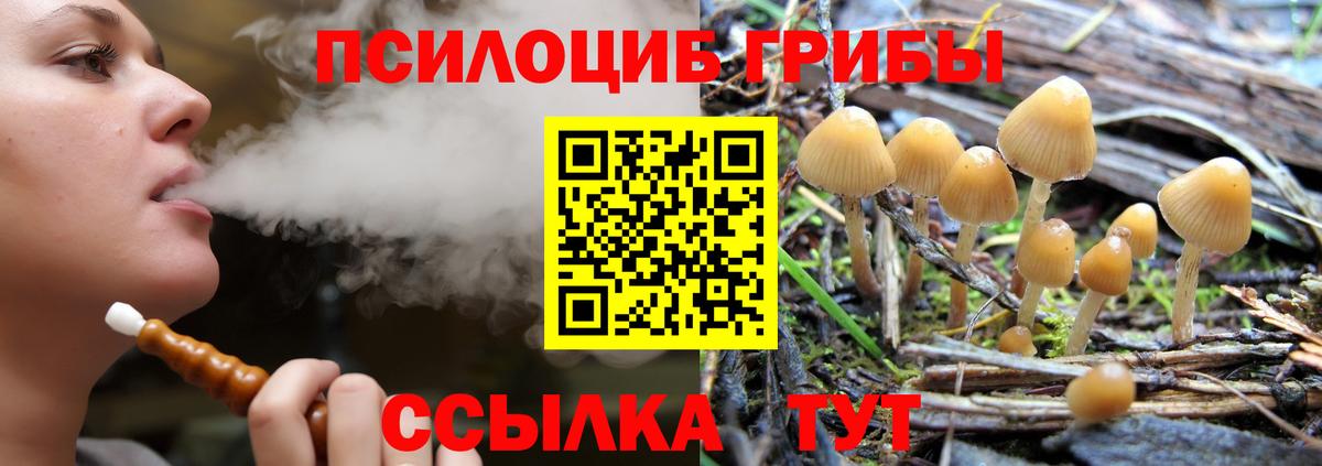 Галлюциногенные грибы Psilocybe  Вход с VPN  Ликино-Дулёво 